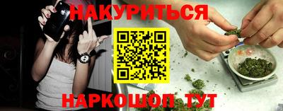 мяу мяу мука Гулькевичи